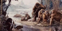 古生物学：史前灵长类动物爱吃甜食