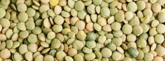 小扁豆有助于降低癌症风险