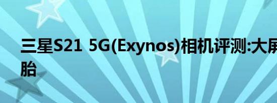 三星S21 5G(Exynos)相机评测:大屏幕双胞胎