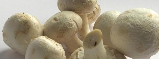 白蘑菇是一种抗衰老的富含抗氧化剂的超级食品
