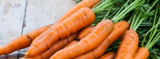 每天吃胡萝卜的4个显着理由