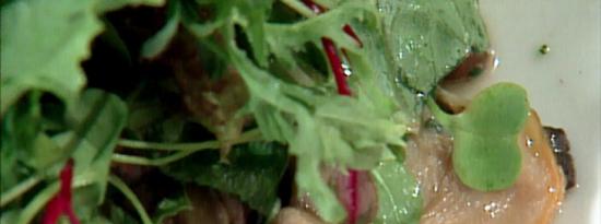 温暖的感恩节蛤蜊、贻贝和蘑菇沙拉