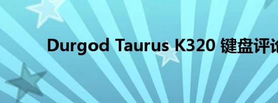 Durgod Taurus K320 键盘评论