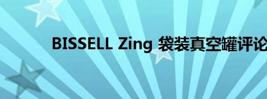 BISSELL Zing 袋装真空罐评论