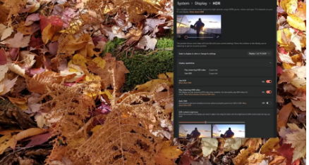 如何在Windows 11中启用HDR