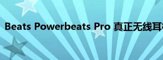 Beats Powerbeats Pro 真正无线耳机评测