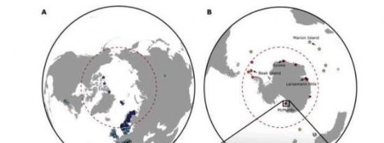 微生物对南极洲的大规模气候变化很敏感