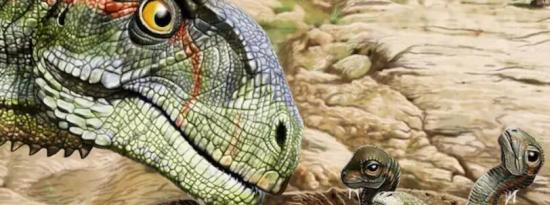 巴塔哥尼亚化石显示侏罗纪恐龙有从众心理