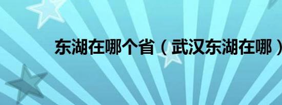 东湖在哪个省（武汉东湖在哪）