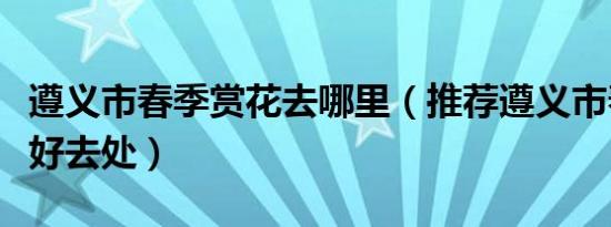 遵义市春季赏花去哪里（推荐遵义市春季赏花好去处）