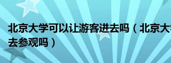 北京大学可以让游客进去吗（北京大学可以进去参观吗）