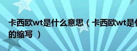 卡西欧wt是什么意思（卡西欧wt是什么意思的缩写 ）