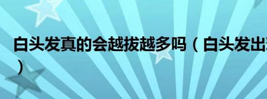 白头发真的会越拔越多吗（白头发出现的原因）