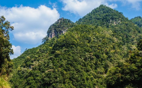谷歌强调了将在2022年塑造旅行的三大趋势