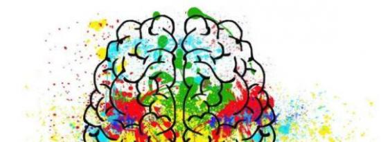人类大脑发育研究揭示神经发育障碍