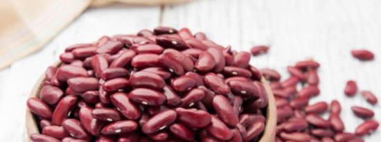 豆类的6大健康益处 一种多功能的超级食品和蛋白质来源