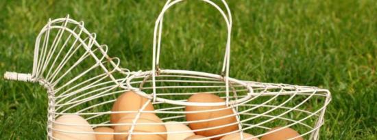 新鲜鸡蛋和商店买的鸡蛋有什么区别