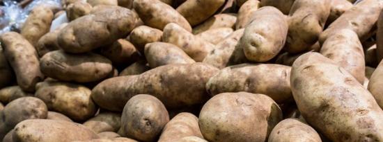 这是您在家种植有机土豆的方法