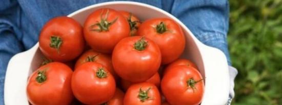 如果你想种出完美的西红柿 请避免这8个常见错误