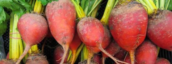 红甜菜根的10种令人难以置信的健康益处
