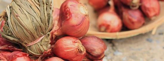 5种科学支持的红葱对健康有益
