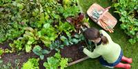 园艺的10个惊人的健康益处