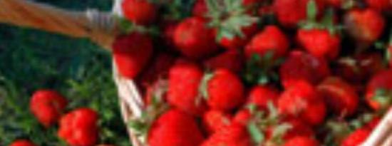 草莓对健康的10大惊人好处