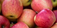 吃苹果的11种健康益处