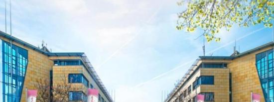 受到在线和国际销售的推动 Cosnova取得创纪录的业绩