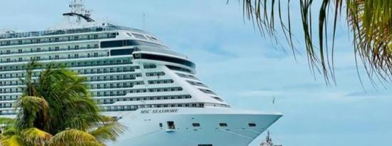 MSC Cruises USA扩展灵活预订政策
