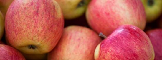 通过吃苹果和葡萄来阻止前列腺癌死亡