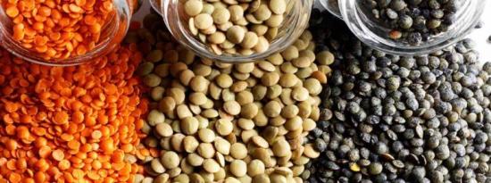 小扁豆应该成为健康饮食一部分的8个原因