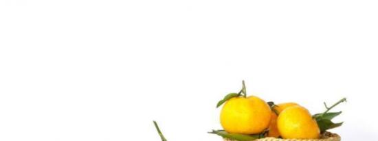 吃柑橘类水果可以抑制痴呆症吗
