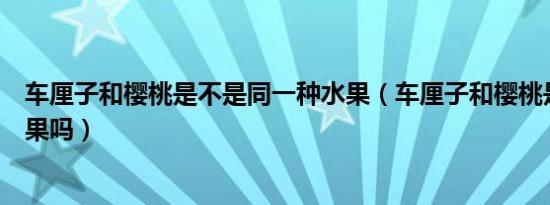 车厘子和樱桃是不是同一种水果（车厘子和樱桃是同一种水果吗）