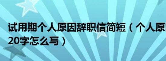 试用期个人原因辞职信简短（个人原因辞职信20字怎么写）