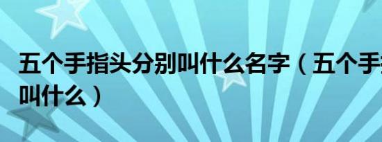 五个手指头分别叫什么名字（五个手指头分别叫什么）