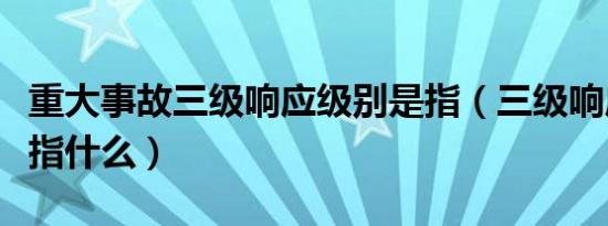 重大事故三级响应级别是指（三级响应级别是指什么）