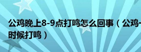 公鸡晚上8-9点打鸣怎么回事（公鸡一般什么时候打鸣）
