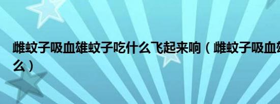 雌蚊子吸血雄蚊子吃什么飞起来响（雌蚊子吸血雄蚊子吃什么）