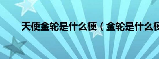 天使金轮是什么梗（金轮是什么梗）