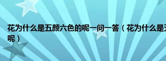 花为什么是五颜六色的呢一问一答（花为什么是五颜六色的呢）