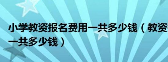 小学教资报名费用一共多少钱（教资报名费用一共多少钱）