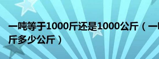 一吨等于1000斤还是1000公斤（一吨是多少斤多少公斤）