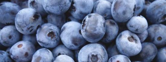 蓝莓中的多酚可以减少体重增加