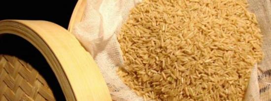 正确吃大米可以预防肥胖