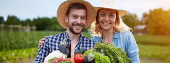 为什么家庭园艺和食品保鲜是最好的食品保险形式