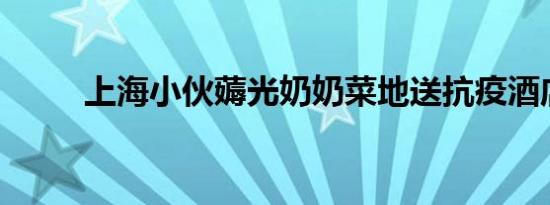 上海小伙薅光奶奶菜地送抗疫酒店