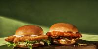 PANERA宣布推出新的厨师鸡肉三明治