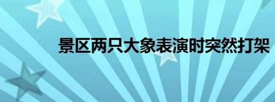 景区两只大象表演时突然打架