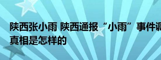 陕西张小雨 陕西通报“小雨”事件调查结果 真相是怎样的